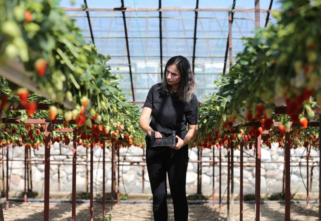 İki kadın el ele verip yerde değil gökte yetiştirdi 1